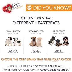 K&H Pet Products Mothers Heartbeat Pillow For Puppies and Kittens Plush Toy with Breed Specific Heartbeat Rhythm