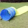 Pet Agility Tunnel Dog Play Outdoor Training and Exercise Equipment for Dog, Puppy, Cat, Kitten, Ferret, and Rabbit 16FT Long Large Obstacle Course for Pets, with Carrying Case Pet Agility Tunnel Dog Play Outdoor Training and Exercise Equipment for Dog, Puppy, Cat, Kitten, Ferret, and Rabbit 16FT Long Large Obstacle Course for Pets, with Carrying Case
