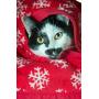 MFG DESIGN Reversible Double-Sided Pet Throw Fleece Blanket. Perfect for Home, Couches, Pet Beds, and Anywhere Your Dogs Cats Hangs Out. Super Soft, Warm, Durable and Washable