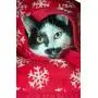MFG DESIGN Reversible Double-Sided Pet Throw Fleece Blanket. Perfect for Home, Couches, Pet Beds, and Anywhere Your Dogs Cats Hangs Out. Super Soft, Warm, Durable and Washable MFG DESIGN Reversible Double-Sided Pet Throw Fleece Blanket. Perfect for Home, Couches, Pet Beds, and Anywhere Your Dogs Cats Hangs Out. Super Soft, Warm, Durable and Washable