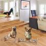X-ZONE PET Raised Pet Bowls for Cats and Dogs, Adjustable Bamboo Elevated Dog Cat Food and Water Bowls Stand Feeder with 2 Stainless Steel Bowls and Anti Slip Feet