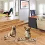 X-ZONE PET Raised Pet Bowls for Cats and Dogs, Adjustable Bamboo Elevated Dog Cat Food and Water Bowls Stand Feeder with 2 Stainless Steel Bowls and Anti Slip Feet X-ZONE PET Raised Pet Bowls for Cats and Dogs, Adjustable Bamboo Elevated Dog Cat Food and Water Bowls Stand Feeder with 2 Stainless Steel Bowls and Anti Slip Feet