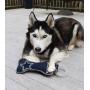 Pets First NFL Dallas Cowboys Dental Dog TUG Toy with Squeaker. Tough PET Toy for Healthy Fun, Teething & Cleaning Pets Teeth & Gum, one Size, DAL-3310