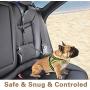 Bark Lover Dog Seat Belts for Cars - Unique Denim & Nylon Fabric, Adjustable Dog Safety Belt Car Headrest Restraint, 2-Pack