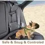 Bark Lover Dog Seat Belts for Cars - Unique Denim & Nylon Fabric, Adjustable Dog Safety Belt Car Headrest Restraint, 2-Pack