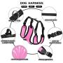 PetiFine Dog Harness with Car Safety Seat Belt, Adjustable Breathable Air Mesh Puppy Vest Harness for X- Small/Small/Medium/Large Dogs & Cats