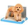 DAN Newest Design Indoor/Outdoor Pet Potty Puppy Toilet with Simulation Wall