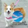 Easy Walking Dog Harness No Pull Reflective Padded Dog Training Harnesses with Leash Step in Escape Proof Adjustable Heavy Duty Puppy Vest Strap Lead Set for Small, Medium and Large Dogs,Rose Red S Easy Walking Dog Harness No Pull Reflective Padded Dog Training Harnesses with Leash Step in Escape Proof Adjustable Heavy Duty Puppy Vest Strap Lead Set for Small, Medium and Large Dogs,Rose Red S