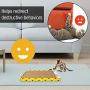 OurPets Cat Scratcher Cat Toys (Cat Toys for Indoor Cats, Catnip Toys, Cat Gifts & Cat Toys Interactive) [Includes Cosmic Catnip-100% Premium North American Grown] Multiple Designs & Sizes Available