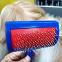 Chanok Dog Brush for Shedding Short Hair ( Free Dog Collar) Grooming Tool Easy To Clean Cleaning Slicker Comb for Short & Long Hair Pet, Small Dog, Golden Retriever, Poodle, Shih Tzu, Puppy