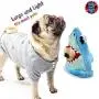 Bow Wow Dog Toy, Shark Hide & Seek, Taco Plush Dog Toy, Pet Set Teeth