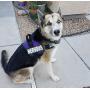 Nervous Nylon Service Dog Vest Harness. Purchase Comes with 2 Reflective Nervous Removable Patches. Please Measure Your Dog Before Ordering