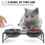 Y YHY Cat Bowls,Elevated Cat Food and Water Bowls with Stand,Raised Pet Bowls for Cats or Dogs,Ceramic Cat Dishes,12 Ounces,Microwave and Dishwasher Safe
