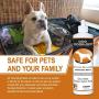 Dog Odor Off 16 oz Soaker bottle
