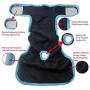 TailWag Planet Premium Washable & Reusable Dog Diapers Super Absorbent, for Female Doggie, Large, Pack of 3