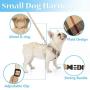 PUPTECK Heavy Duty Retractable Dog Leash - 16.5ft Extendable Strong Nylon Ribbon, 360° Tangle- Soft Mesh Dog Harness Pet Puppy Comfort Padded Vest No Pull Harnesses