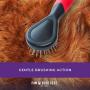 Ryans Pet Supplies Paw Brothers Pin Brush for Dogs, Mini