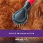 Ryans Pet Supplies Paw Brothers Pin Brush for Dogs, Mini Ryans Pet Supplies Paw Brothers Pin Brush for Dogs, Mini