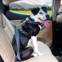 Kurgo Car Safety Dog Harness | Crash Tested Harness for Dogs | Integrated Dog Seatbelt Tether Loop | Pet Vehicle Restraint Seat Belt | Travel | Impact Harness | For Small Medium Large Pets