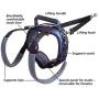 PetSafe CareLift Rear Support Harness - Lifting Aid with Handle and Shoulder Strap - Great for Pet Mobility and Older Dogs - Comfortable, Breathable Material - Easy to Adjust