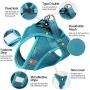 Glorisun Breathable Harness for Pet, Adjustable No Pull Harness for Dog & Cat, Dog Vest with 2 Leash Clips