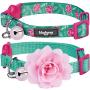 Blueberry Pet 3 Patterns The Power of All in One Breakaway Cat Collars, with Personalization Options
