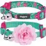 Blueberry Pet 3 Patterns The Power of All in One Breakaway Cat Collars, with Personalization Options Blueberry Pet 3 Patterns The Power of All in One Breakaway Cat Collars, with Personalization Options