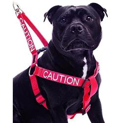 CAUTION Red Color Coded L-XL Non-Pull Dog Harness (Do Not Approach) PREVENTS Accidents By Warning Others of Your Dog in Advance