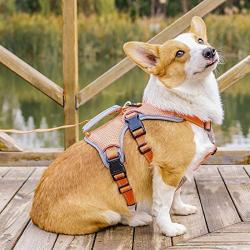 BELPRO Multi-Use Support Dog Harness, Escape Proof No Pull Reflective Adjustable Vest with Durable Handle, Dog Walking Harness for Big/Active Dogs