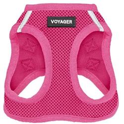 Best Pet Supplies Voyager Step-in Air Dog Harness - All Weather Mesh, Step in Vest Harness for Small and Medium Dogs, Fuchsia (Matching Trim), L (Chest: 18-21'') (207-FSW-L)