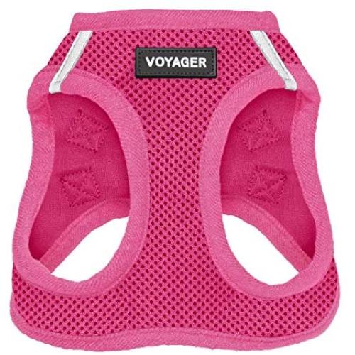 Best Pet Supplies Voyager Step-in Air Dog Harness - All Weather Mesh, Step in Vest Harness for Small and Medium Dogs, Fuchsia (Matching Trim), XS (Chest: 13-14.5'') (207-FSW-XS)