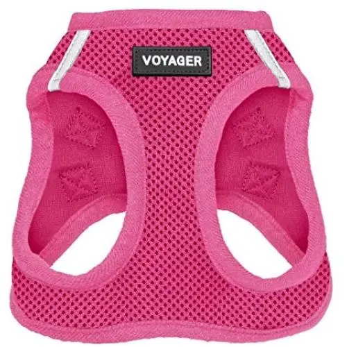 Best Pet Supplies Voyager Step-in Air Dog Harness - All Weather Mesh, Step in Vest Harness for Small and Medium Dogs, Fuchsia (Matching Trim), XS (Chest: 13-14.5'') (207-FSW-XS)