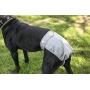 Pet Parents Washable Dog Diapers (3pack) of Doggie Diapers, Color: Princess, Extra Large Dog Diapers