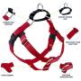 2 Hounds Design Freedom No-Pull Dog Harness with Leash | Reflective for Safety | Adjustable and Comfortable Control for Dog Walking | Made in USA