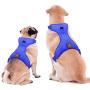 Ezier Glowing LED Dog Harness- USB Rechargeable No-Pull Pet Harness, Adjustable Soft Padded Dog Vest, Mesh Reflective Suit for Small, Medium, Large Dogs