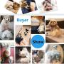 petgle Dog Brush and Cat Brush Effectively Reduces Shedding Professional Grooming Brush and Deshedding Tool for Dogs and Cats