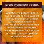 Natures Recipe Adult Dry Dog Food