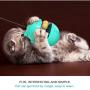 Pet Fun Bowl Feeder Dog Cat Feeding Toys Pet Tumbler Leakage Food Ball for Training Playing Exercise IQ Toy
