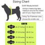 Paw Five CORE-1 Dog Harness, Reflective No-Pull with Built-in Waste Bag Dispenser, Fully Adjustable with Padded Control Handle for Medium and Large Dogs, Paw Five CORE-1 Dog Harness, Reflective No-Pull with Built-in Waste Bag Dispenser, Fully Adjustable with Padded Control Handle for Medium and Large Dogs,