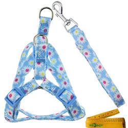 Wiz BBQT Adjustable Breakaway Flower Printed Dog Cat Pet Harness and Leash Set for Dogs Cats Pets