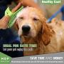 Premium New Grooming Pet Shampoo Brush, Best Pet Bathing & Soothing Massage Rubber Comb with Adjustable Ring Handle for Medium & Large Dogs, Cats, Rabbits, Horses- Remove More Dirt & Loose Hair.
