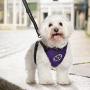 SlowTon Dog Harness, Pet Vest Harness for Dogs Safety in Car Adjustable Neck and Chest Strap Breathable Soft Fabric Multifunctional Vest with Quick Release for Travel Walking Daily Use