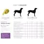 RC Pet Products West Coast Rainwear Raincoat, Fleece Lined, Water-Resistant, Reflective Dog Coat RC Pet Products West Coast Rainwear Raincoat, Fleece Lined, Water-Resistant, Reflective Dog Coat