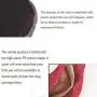 N-brand Kitty Cat House Small Pets Home Sweet Warm Rabbit Hut Shaped Frustum Guinea Pig Hiding Bed with Removable Cushion for Winter N-brand Kitty Cat House Small Pets Home Sweet Warm Rabbit Hut Shaped Frustum Guinea Pig Hiding Bed with Removable Cushion for Winter