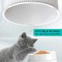 iPettie Elevated and Tilted Cat Food Bowl Cat Dish, Pet Feeding Station with Stand for Small Dog, Better Than Stainless Steel and Ceramic, Made from Certified Food-Safe Plastics, Non-Slip & No Spill
