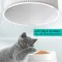iPettie Elevated and Tilted Cat Food Bowl Cat Dish, Pet Feeding Station with Stand for Small Dog, Better Than Stainless Steel and Ceramic, Made from Certified Food-Safe Plastics, Non-Slip & No Spill