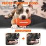 Squeaky Dog Toys for Aggressive Chewers: Rubber Puppy Chew Ball with Squeaker, Almost Indestructible Durable Interactive Pet Toy for Medium Large Breed Dogs Puppies Squeaky Dog Toys for Aggressive Chewers: Rubber Puppy Chew Ball with Squeaker, Almost Indestructible Durable Interactive Pet Toy for Medium Large Breed Dogs Puppies