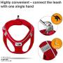 Curli Magnetic Vest Harness Air-Mesh Dog Harness Pet Vest No-Pull Step-in Light Harness