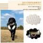 PETSVILLE Durable Textilene Chew Toys Indoor and Outdoor Flying Toys for Training and Cleaning Teeth
