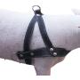 Genuine Black Leather Dog Pulling Walking Harness Medium to Large. 25.5''-31'' Chest, 1.5'' Straps